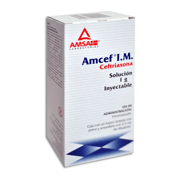 AMCEF 1GR IM Solucion Inyectable - c/1