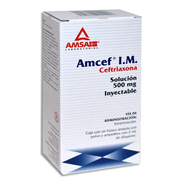 AMCEF 500MG IM Solucion Inyectable - c/1