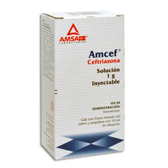 [7501349012011] AMCEF 1GR IV Solucion Inyectable - c/1
