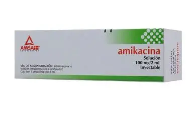 [7501349020740] AMIKACINA 100MG AMSA Solucion Inyectable - c/1