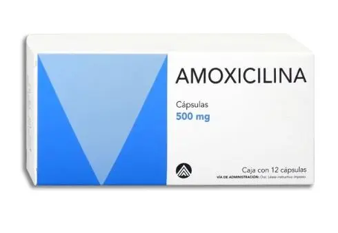 AMOXICILINA MAVER Capsulas - c/12