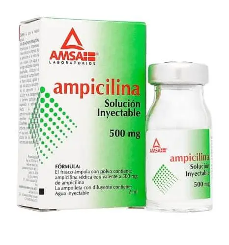AMPICILINA 500MG AMSA Solucion Inyectable - c/1