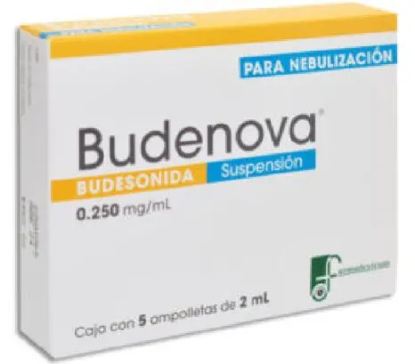 BUDENOVA 250MCG Suspension para nebulizar - c/5
