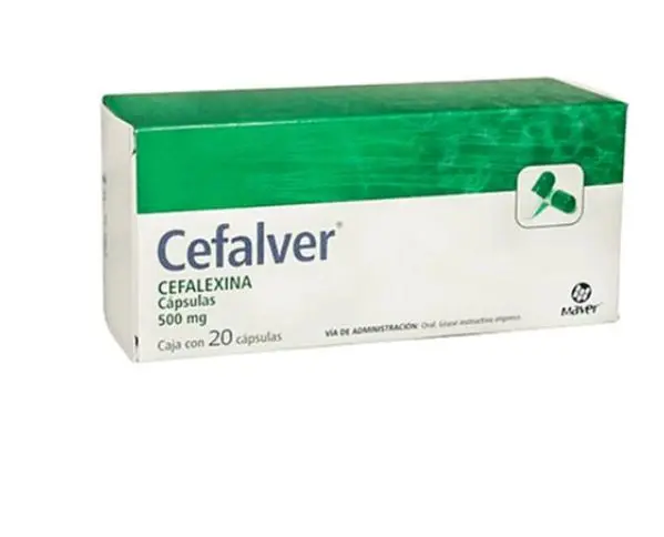 CEFALVER 500MG Capsulas - c/12