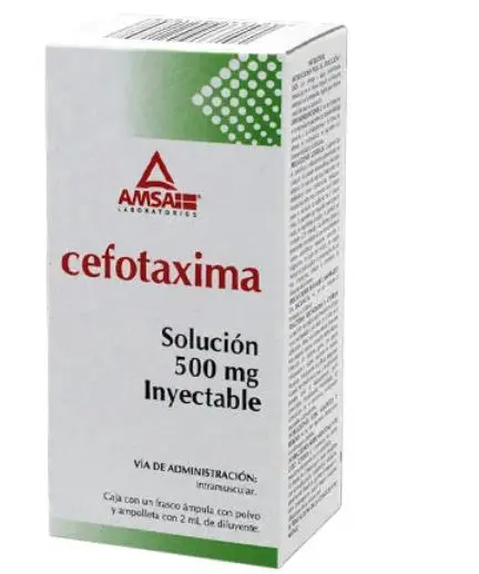CEFOTAXIMA 500MG IM AMSA Solucion Inyectable - c/1