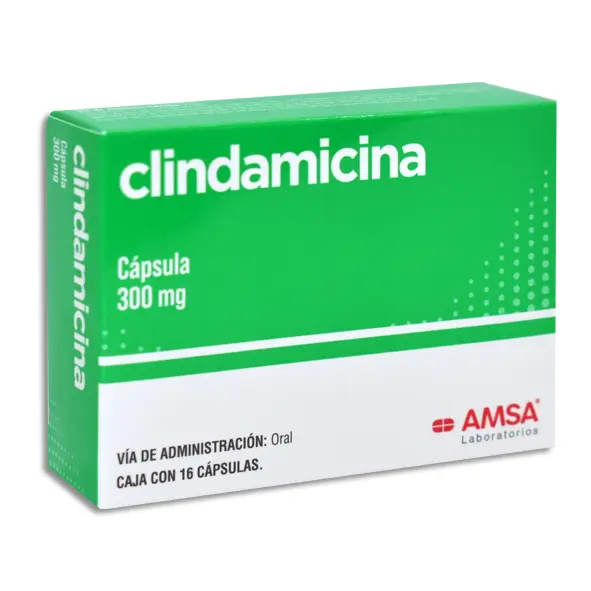 CLINDAMICINA 300MG AMSA Capsulas - c/16