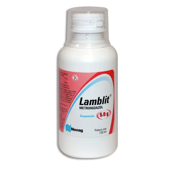 LAMBLIT 250MG  Suspension - 120 ml