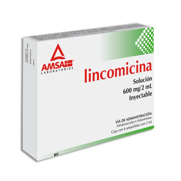LINCOMICINA 600MG AMSA Ampolletas - c/6