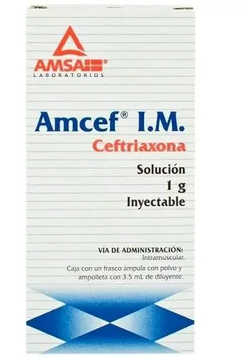 [7501349012004] AMCEF 1GR IM Solucion Inyectable - c/1