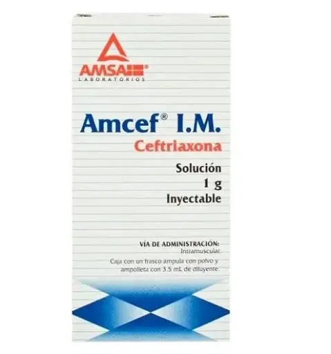 [7501349012011] AMCEF 1GR IV Solucion Inyectable - c/1