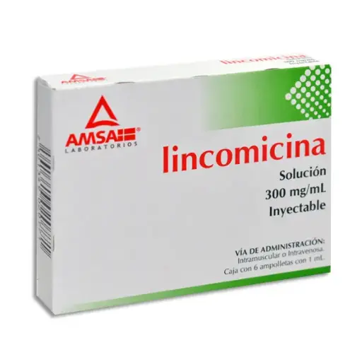 [7501349020771] LINCOMICINA 300MG AMSA Ampolletas - c/6
